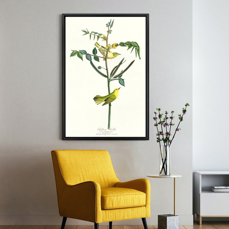 John James Audubon Children/'s Warbler,The Birds of America,canvas print,canvas art,canvas wall art,large wall art,framed wall art,p2329