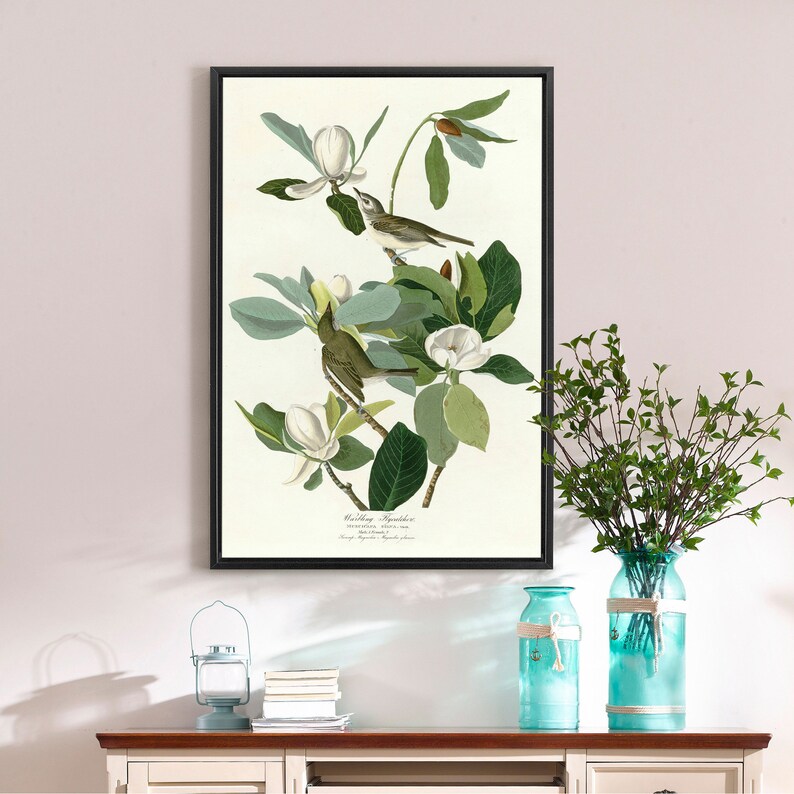 John James Audubon Warbling Flycatcher,The Birds of America,canvas print,canvas art,canvas wall art,large wall art,framed wall art,p2488