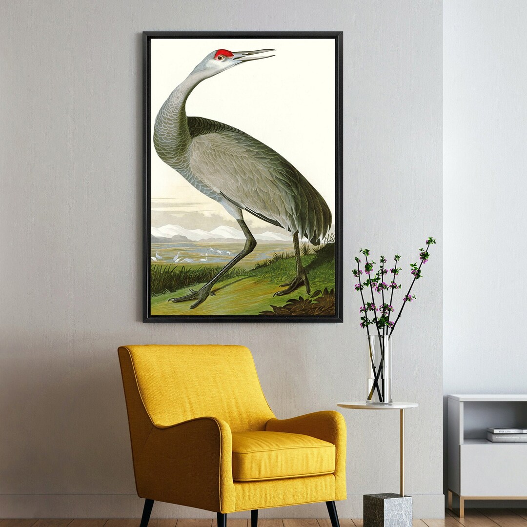 Artery8 Geburtstagskarte Vögel & Insekten – Audubon-Stil Dschungelmotiv – 17,5x12,5 Cm – Mit Umschlag