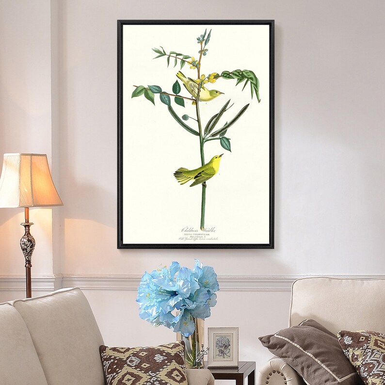 John James Audubon Children/'s Warbler,The Birds of America,canvas print,canvas art,canvas wall art,large wall art,framed wall art,p2329