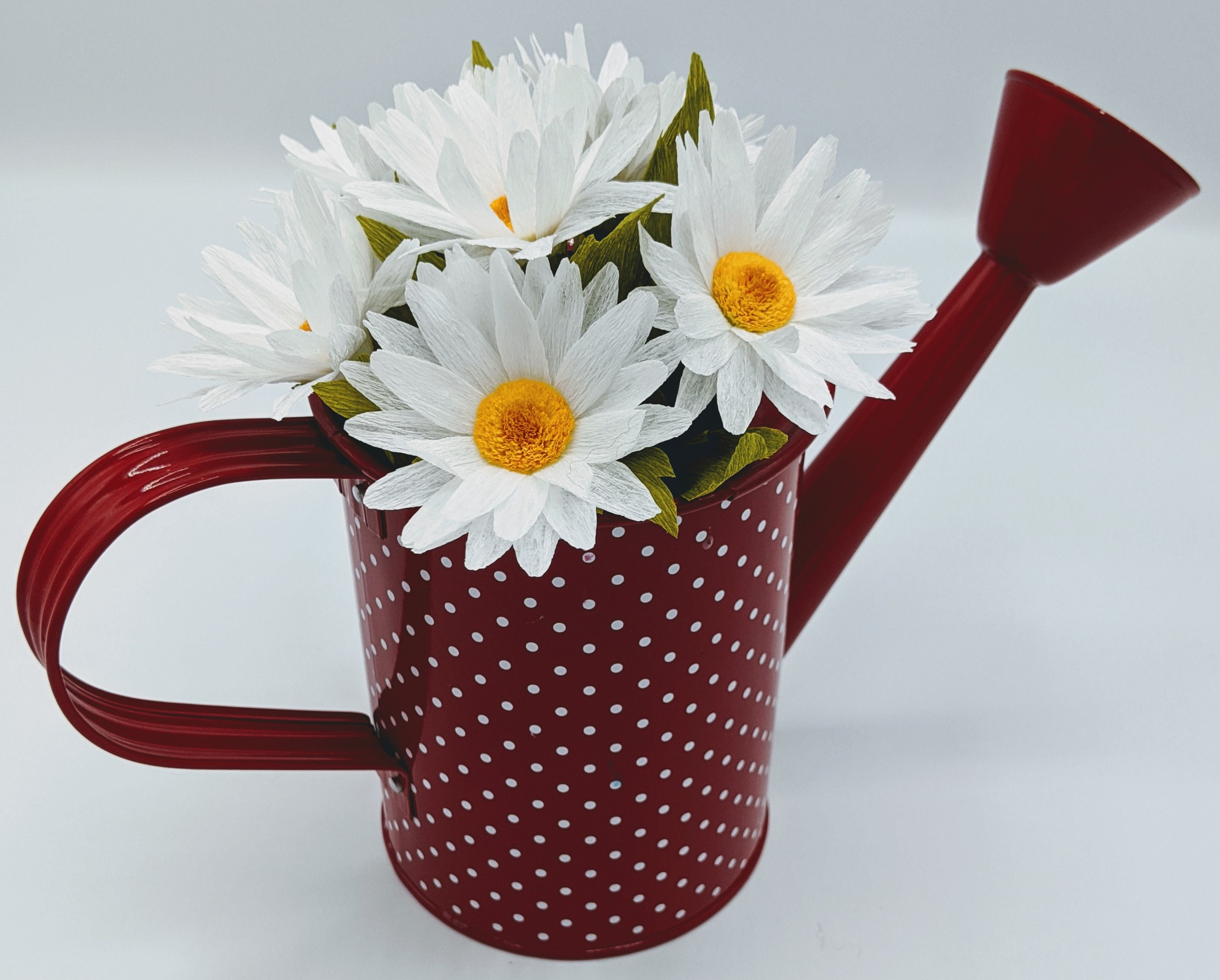 Watering Can Daisies Red Etsy