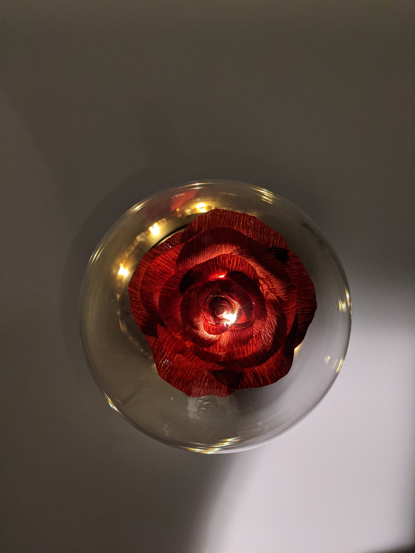 Forever Rose in a Glass Dome Card Etsy
