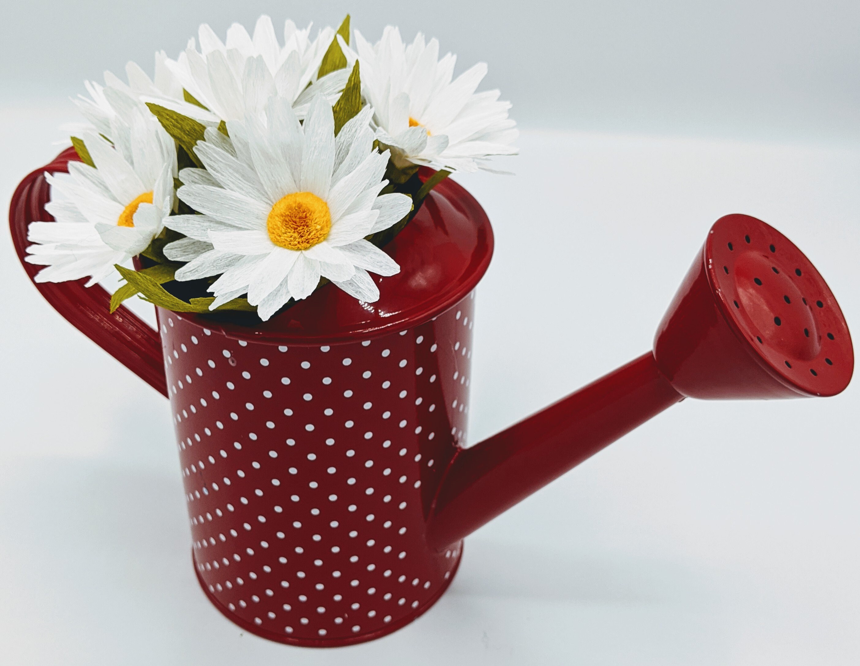 Watering Can Daisies Red Etsy