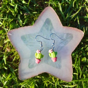 Può includere: Un paio di orecchini pendenti in argento con un ciondolo a forma di cactus verde e fiore rosa. Gli orecchini sono esposti su una superficie bianca a forma di stella.