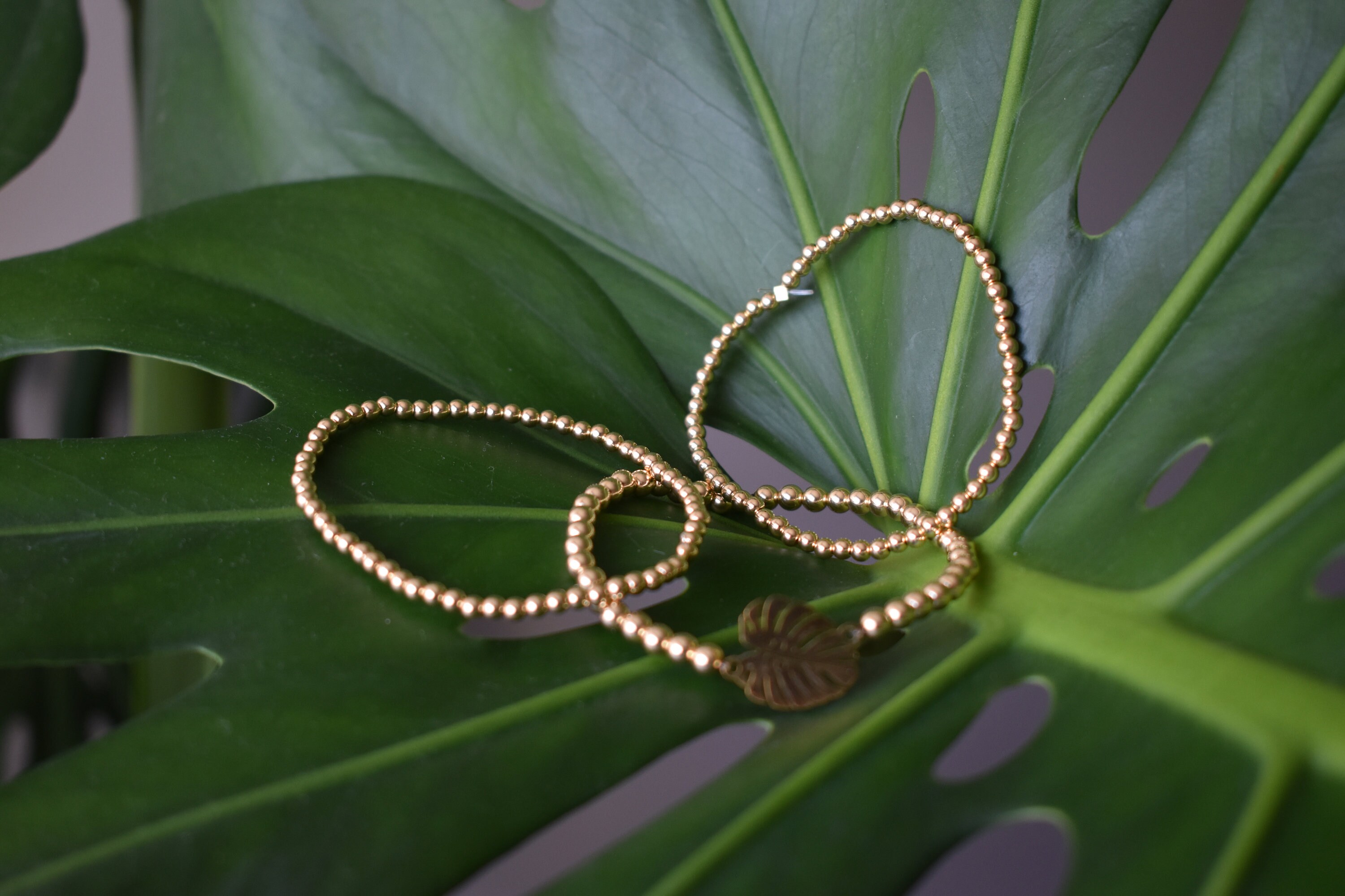 Goldfilled Monstera Charm Bracelet Set Etsy UK
