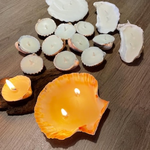 Handgemaakte schelpkaarsen middelgroot. Homewarming bruiloft decor. Zeeliefhebber cadeau, romantisch valentijnscadeau/decor.