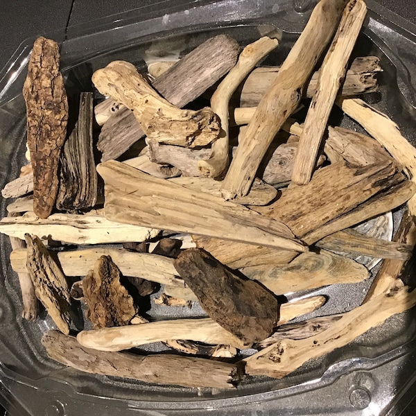 30 driftwood pieces and sticks in various sizes (5 - 18 cm) for arts and crafts, nautical decor, pebble arts, terrarium/vivarium, etc.