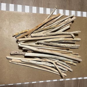 12 Treibholz-Stäbe (12 - 35 cm). für maritime Dekorationen, Kunsthandwerk, Makramee/Schmuckhalter, Fotodekoration, Kieselsteinkunst, Terrarium/Vivarium usw.