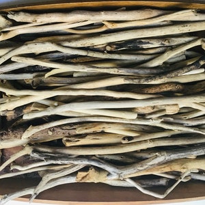 12 Treibholz-Stäbe (12 - 35 cm). für maritime Dekorationen, Kunsthandwerk, Makramee/Schmuckhalter, Fotodekoration, Kieselsteinkunst, Terrarium/Vivarium usw.