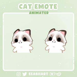 Ragdoll Cat / Emote animado de baile con meneo para Twitch, Discord y YouTube / 2 velocidades diferentes / Emote P2U