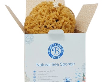 Jordan Benedict Natural Sea Sponge: Aegean Exfoliating Shower Sponge