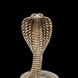 One of the most significant protection deities in Egypt is the magnificent statue of Uraeus the cobra Handcrafted Egyptian Statue Replica BC