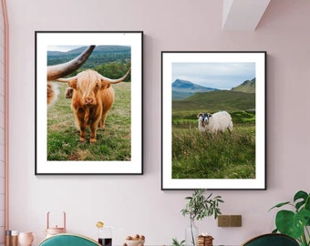 Scotland • Highland Cow & Sheep • Set of 2 | Digital Prints