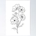 Wild Flowers