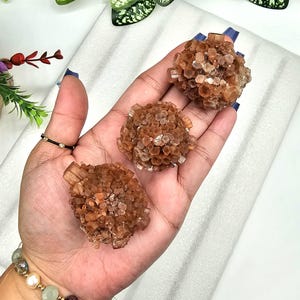 May include: Three clusters of aragonite crystals in shades of brown and tan are displayed. The crystals have a rough, textured surface and are held in a hand. The background is a soft white surface with green foliage.