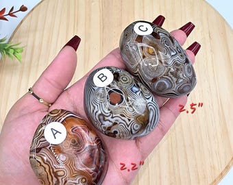 Sardonyx Agate Palm Stone / Madagascar Agate / Unique Banding / Chakra / Rocks and Minerals