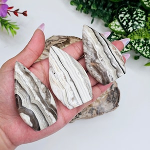 Chocolate Calcite / Black and White Banded Calcite / 2.8&quot; / Calcite / Chakra / Rocks and Minerals
