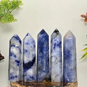 May include: Five blue sodalite crystal towers with white veining are displayed on a wooden base. The polished, pointed crystals vary in their blue and white patterns. The crystals are arranged in a row, showcasing their unique natural beauty.