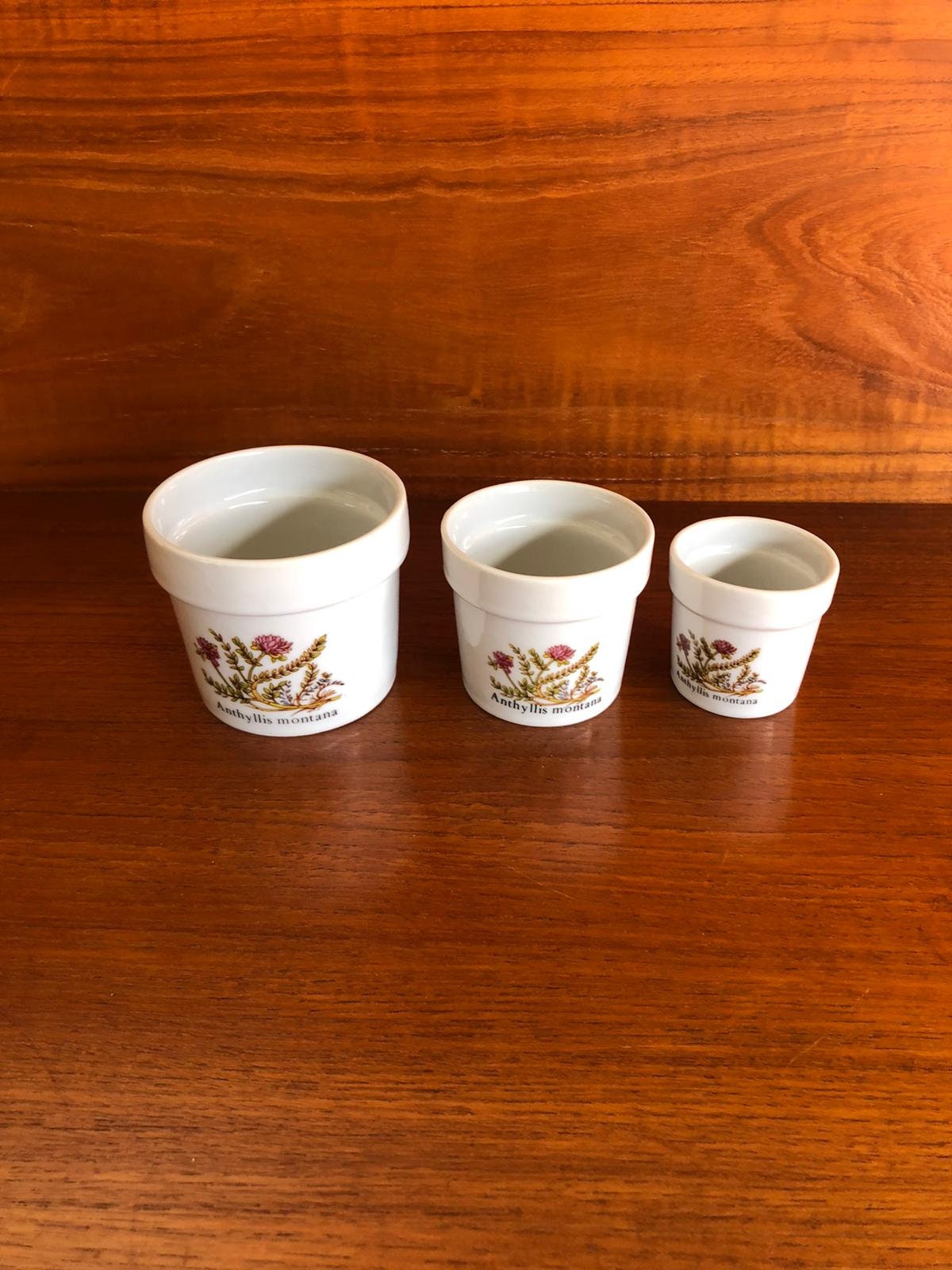 Vintage Nesting Ceramic Pots. Set of 3. Flower Pot. Anthills Montana