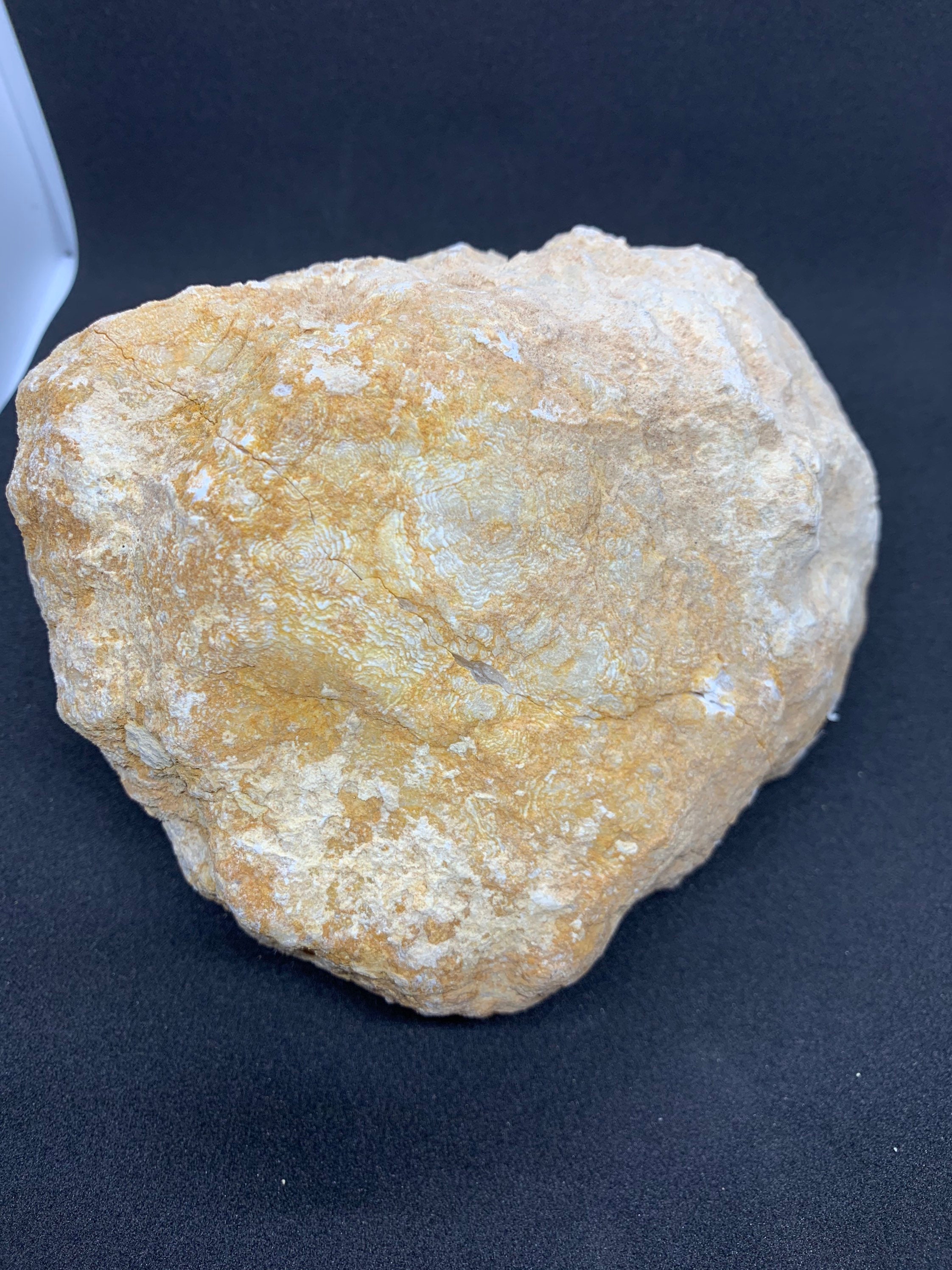 Geode en Cristal de Roche