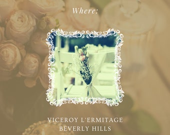 Cancion anuncio shop de viceroy