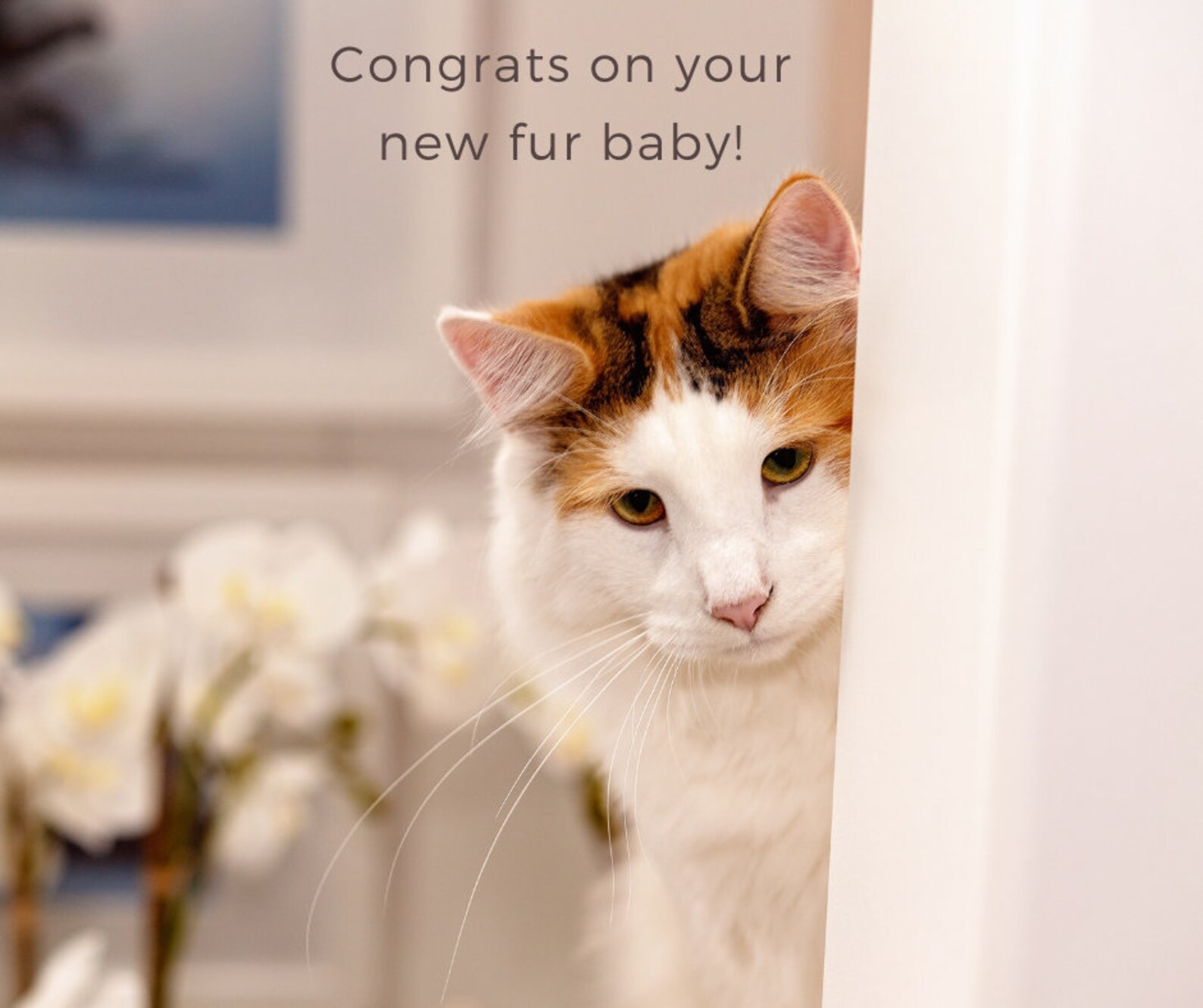 Congratulations on your new cat fur baby/ Congrats on your new Etsy
