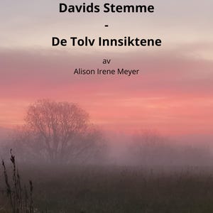 Peut inclure: Couverture de livre avec le titre "Davids Stemme - De Tolv Innsiktene" par Alison Irene Meyer. L'arrière-plan présente un paysage brumeux avec un arbre et un ciel aux tons roses et orangés.