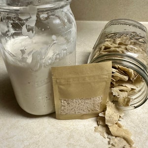 Sourdough starter (dehydrated)