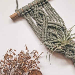 Air Plant Hanger | Macrame Plant Hanger