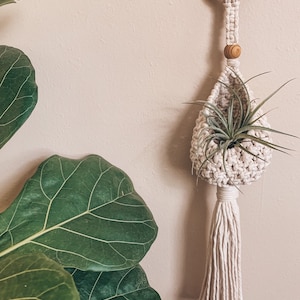Macrame Pods | Airplant hanger | Boho plant hanger