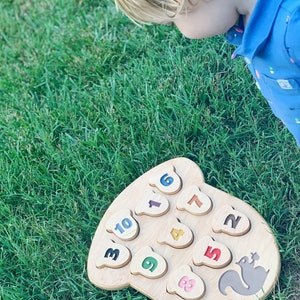 Acorn Counting & Matching Puzzle image 8