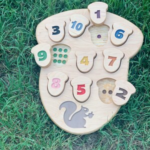 Acorn Counting & Matching Puzzle image 1