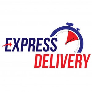 May include: Express Delivery logo with a stopwatch icon. The words "EXPRESS" and "DELIVERY" are in navy blue and red, respectively. A red arrow points from the word "EXPRESS". The stopwatch has a blue border and a red section.
