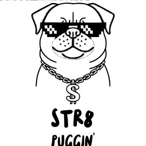 May include: A black and white illustration of a pug wearing sunglasses and a chain with a dollar sign pendant. The text "STR8 PUGGIN'" is below the pug.