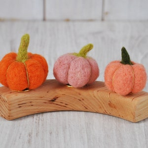 Grimms ring ornament, felted pumpking decor, waldorf birthday celebration rinf decoration