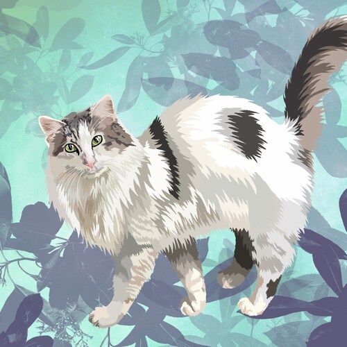 Premium Style Pet shops Portrait
