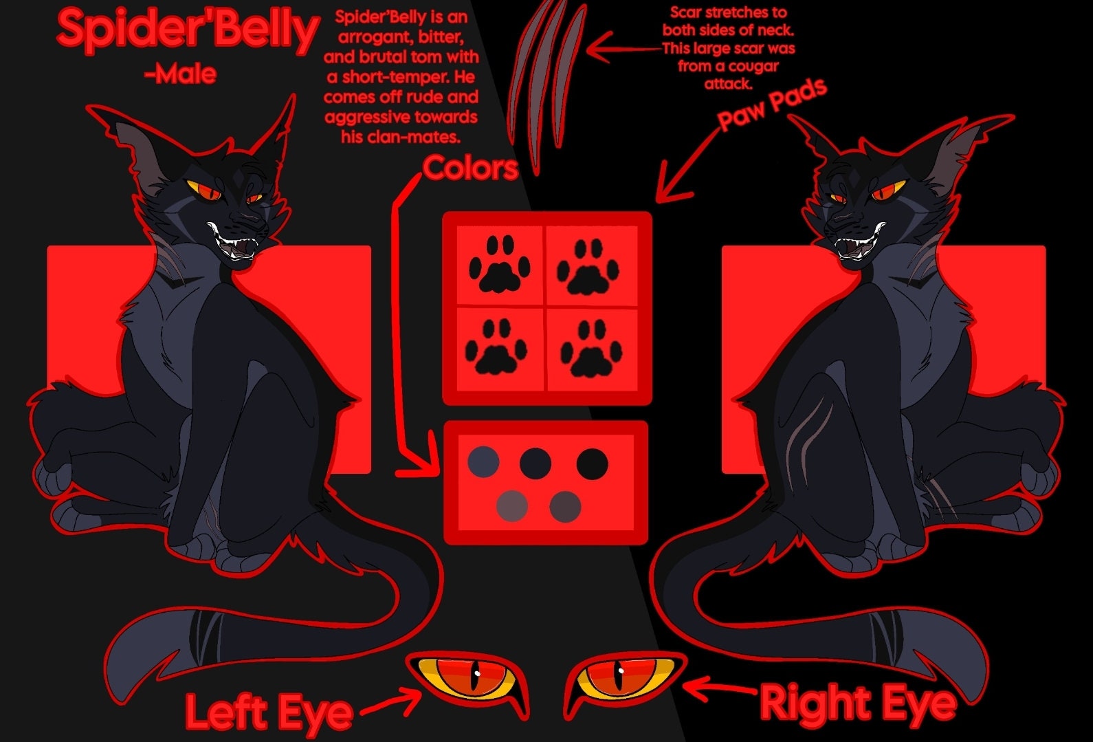 Commission Cat Full Reference Sheet (Download Now) 