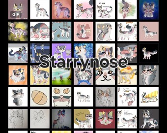 Starrynose - Personaje peludo original de Warrior Cats
