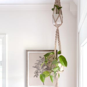 May include: A beige macrame plant hanger with two white pots holding green plants. The hanger is suspended from a ceiling hook. A framed botanical print hangs below the plant.