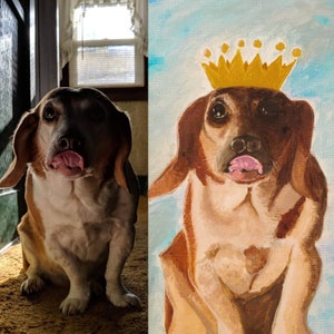 Custom Pet Portraits