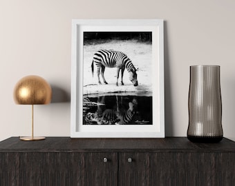 FRAMED Affordable African Wildlife Picture | Wall Art Prints, Black and White photography Prints, Zebra Wild Animals, Living room Pictures