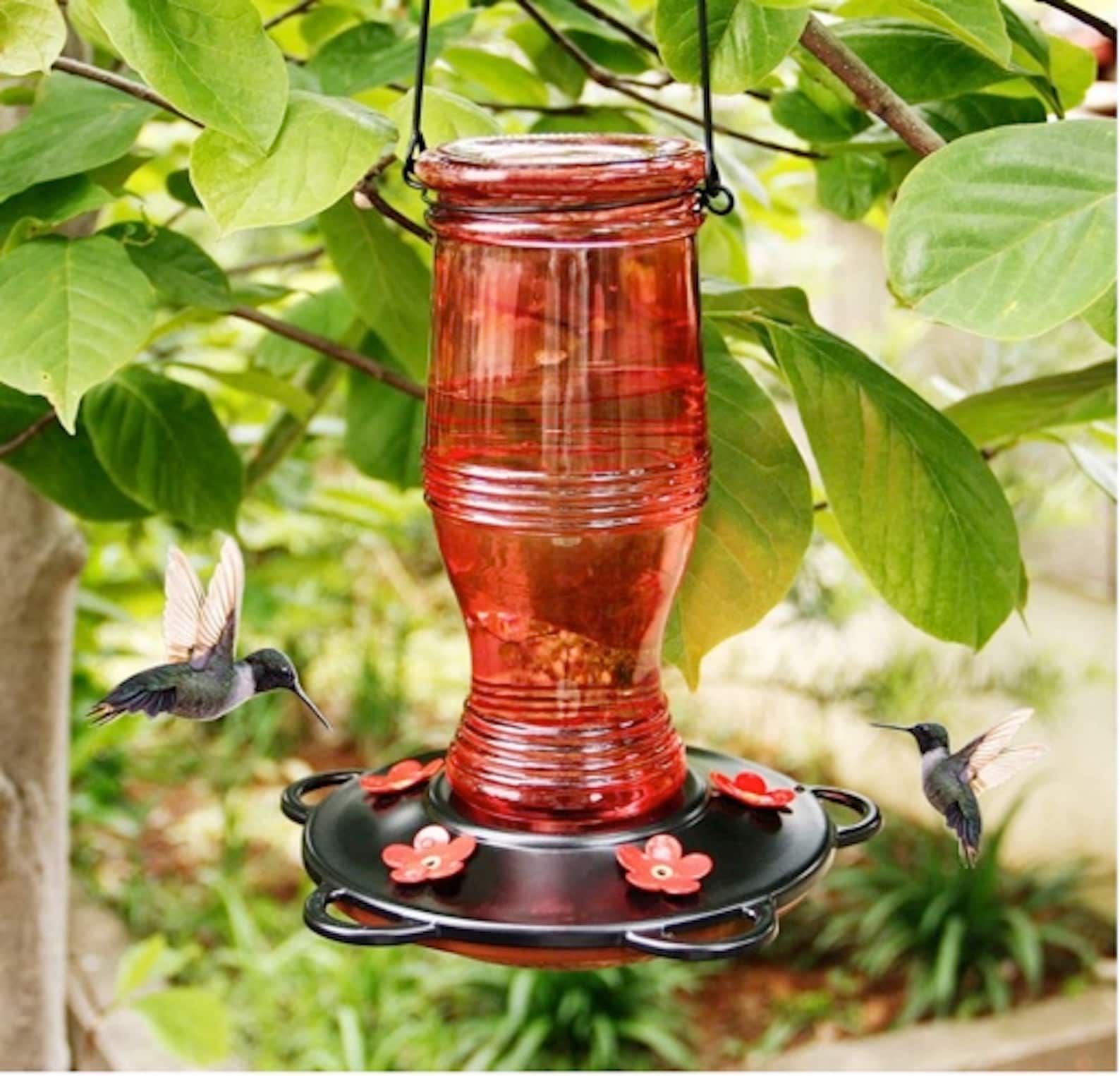 Glass Hummingbird Feeders 26 oz Wild Bird Feeder with 5 Etsy