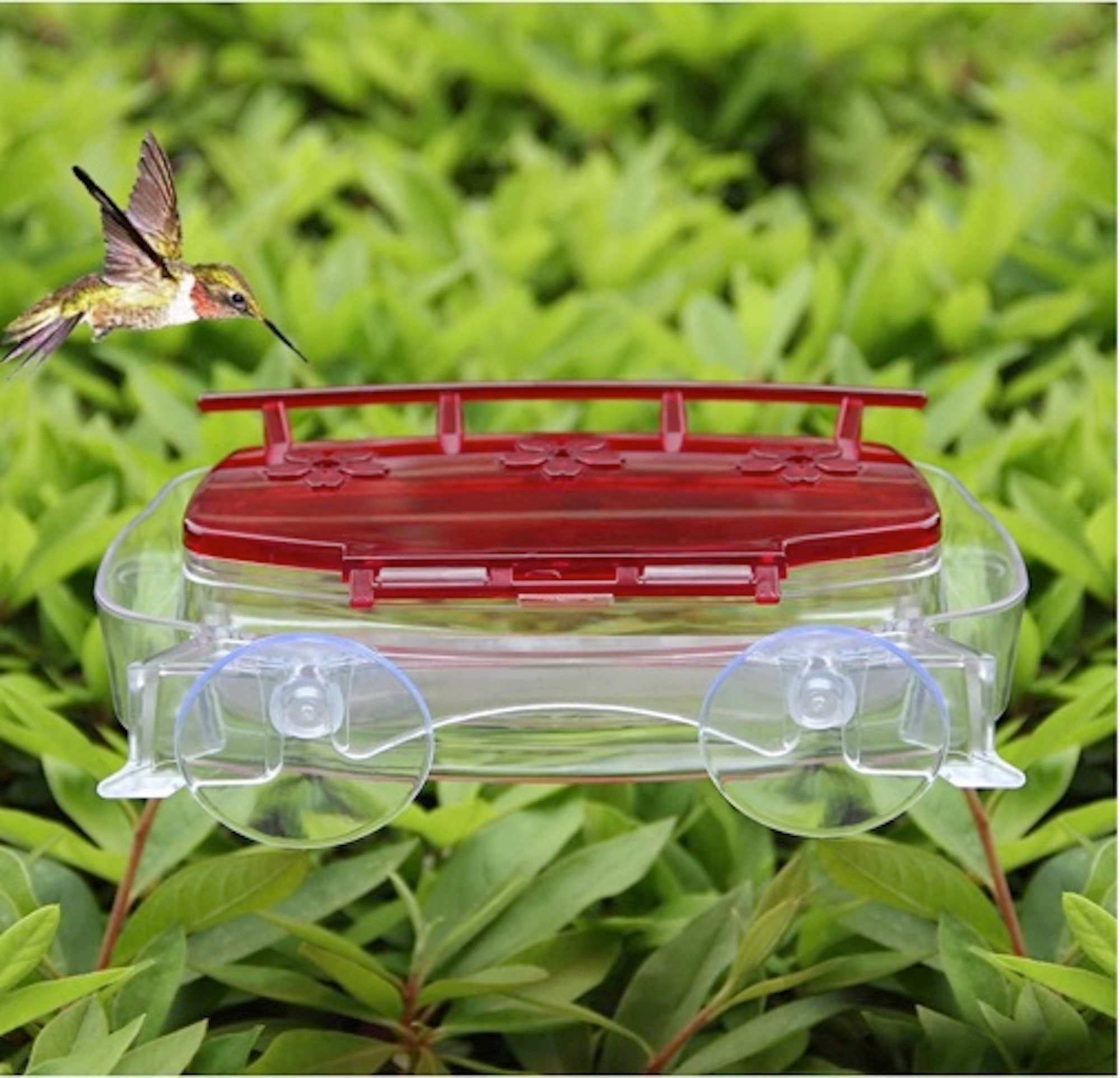 Window Hummingbird Feeder 8Ounce Etsy