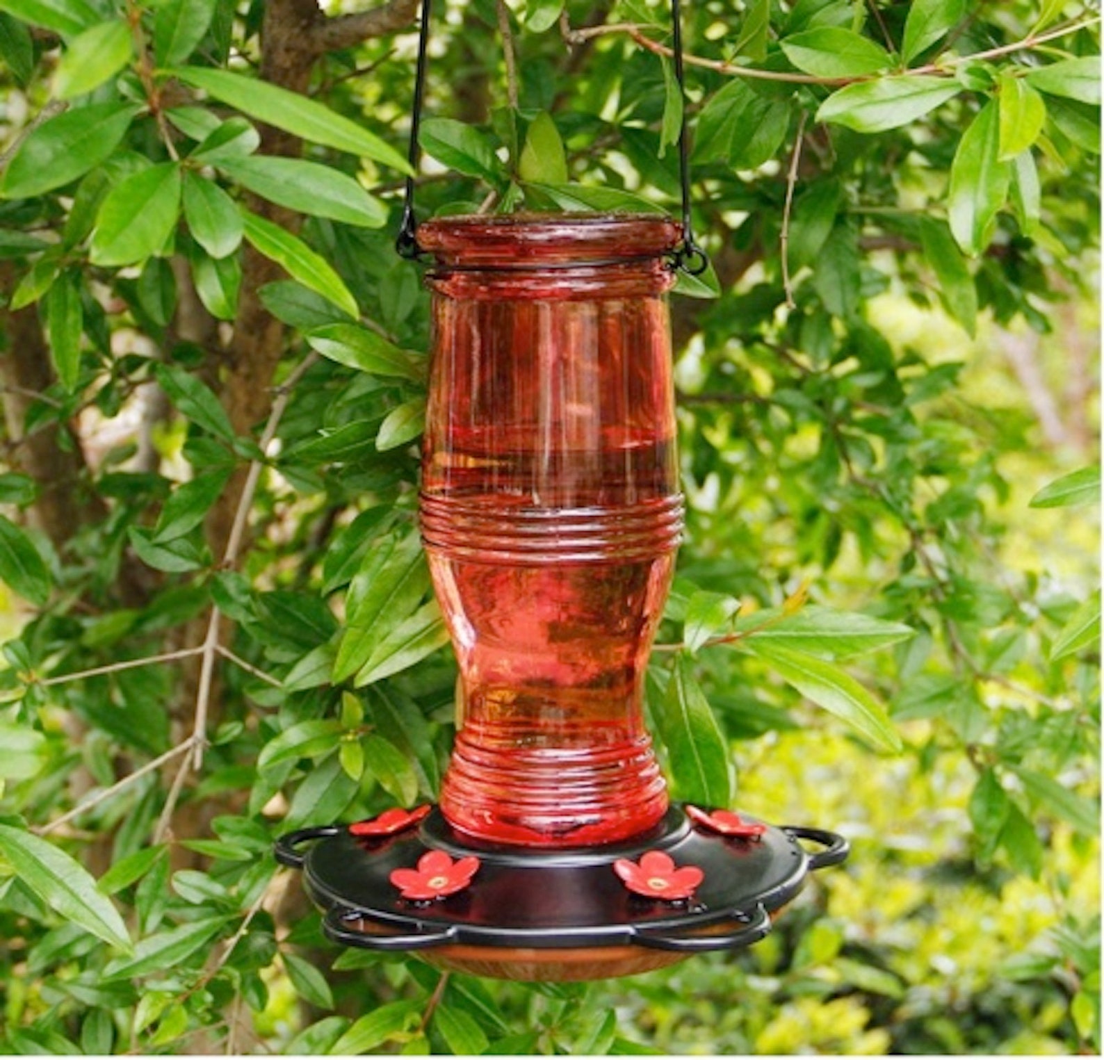 Glass Hummingbird Feeders 26 oz Wild Bird Feeder with 5 Etsy