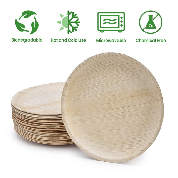 [Case of 500] 100% Compostable 10 Inch Heavy-Duty Plates 3 Compartment  Eco-Friendly Disposable Sugarcane Paper Plates