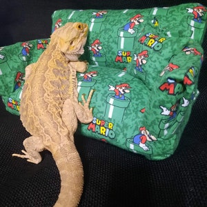 Custom Bearded Dragon Couch and Pillow (Machine Washable)