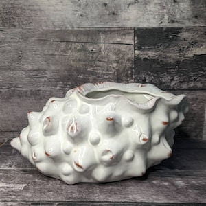 May include: White ceramic planter shaped like a seashell with a textured surface. The planter has a wide opening and a rounded bottom.