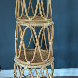 May include: A three-tiered, natural rattan plant stand. The stand features woven circular platforms and an open, geometric design. The light brown stand is set against a dark blue wall and a dark wood floor.
