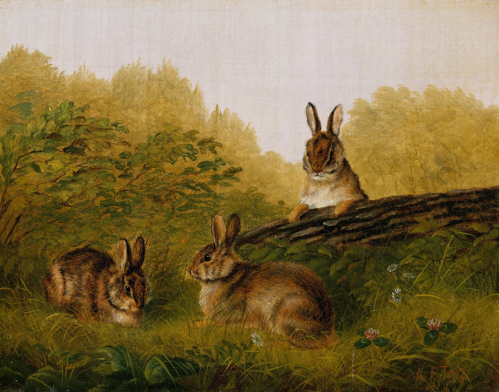 Rabbits oil painting landscape painting Etsy