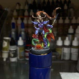 Ranger Warlock Bug Dark Elf Miniature Dungeons & Dragons Pro Painted Mini DnD